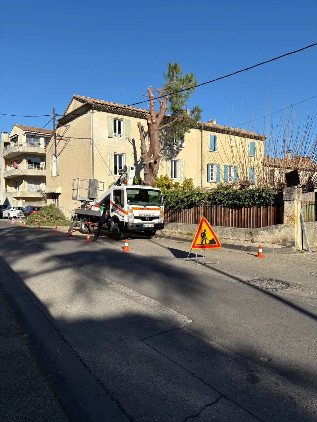 Pourquoi abattre un arbre peut-il être nécessaire en milieu urbain ?