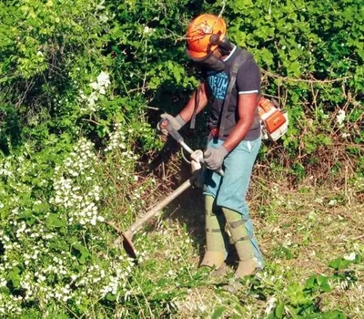 Débroussaillage et entretien de friche vers Fleurance