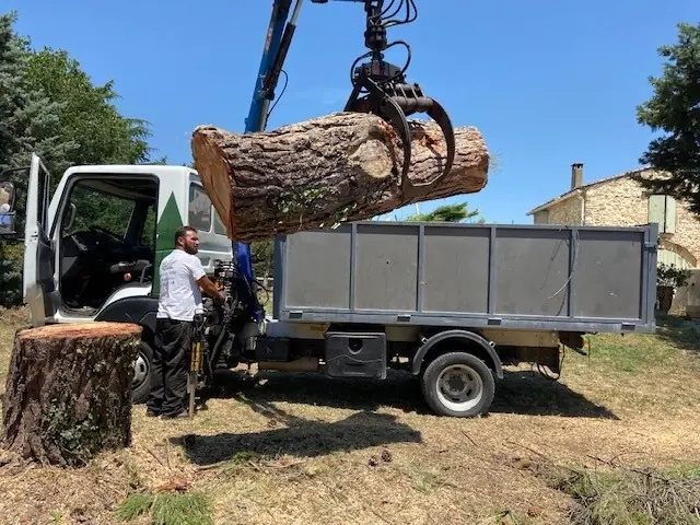 Abattage et étêtage d'arbres vers Condom