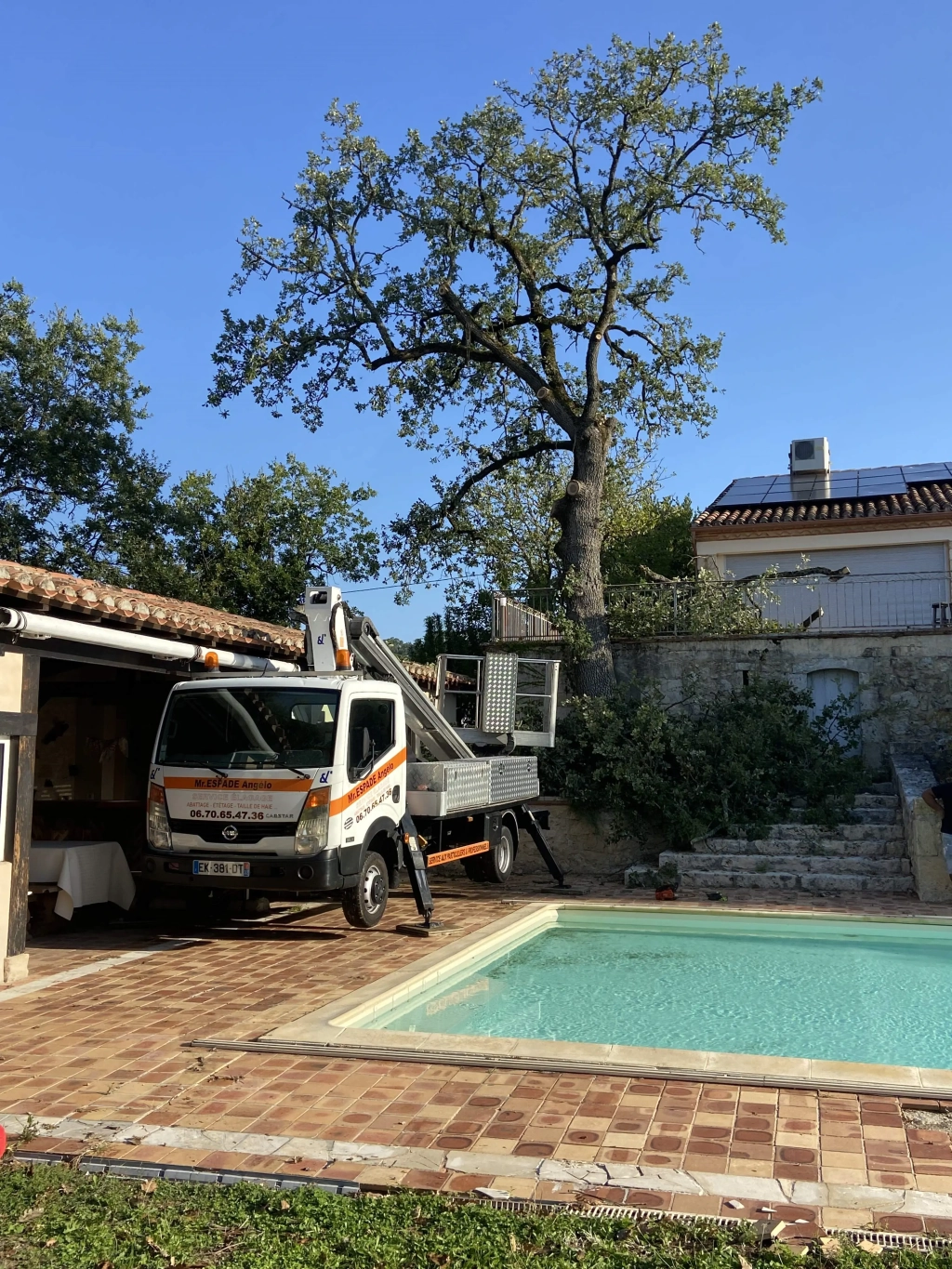 Abattage d’arbres sur la commune d'Auch